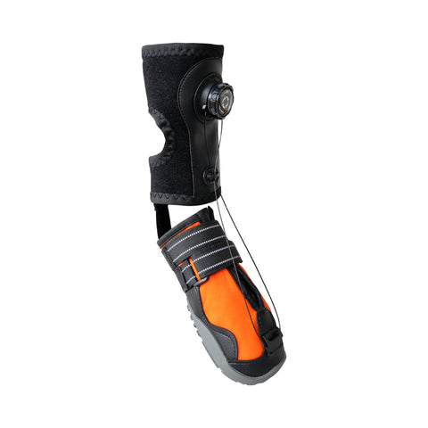 No-knuckling training boot with support sleeve, dial and toe-lift cord