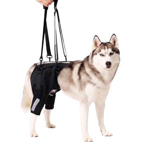 Rear Leg Lift Harness for Senior Dogs