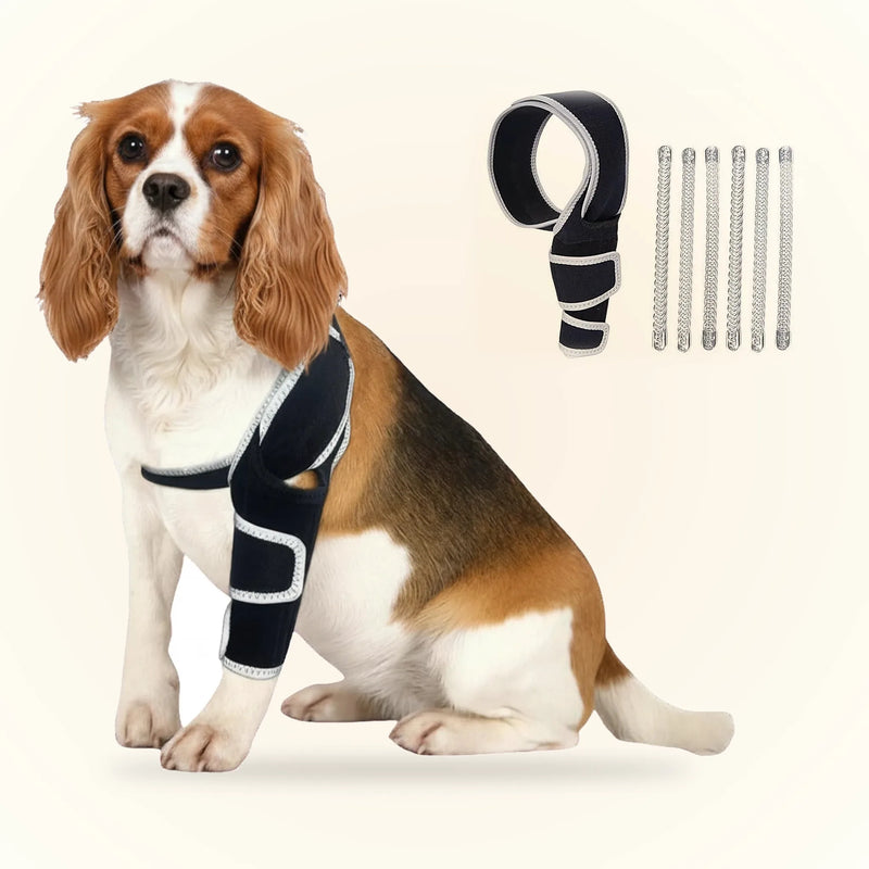 Dog wearing a premium knee brace with six metal spring stays