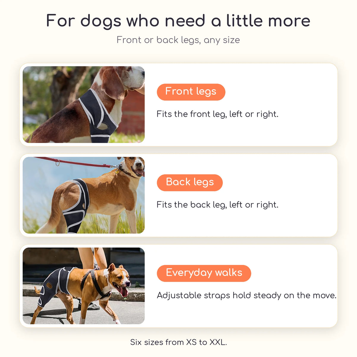 Dogs wearing the premium knee brace on front legs, back legs and walks