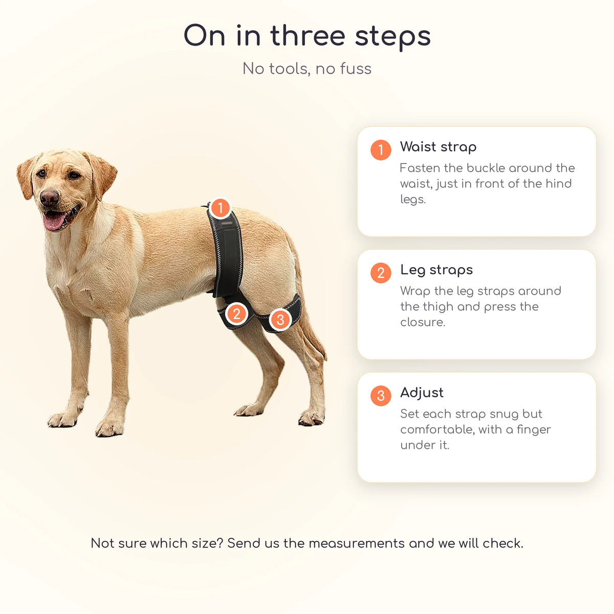 How to fit the dog hip wrap