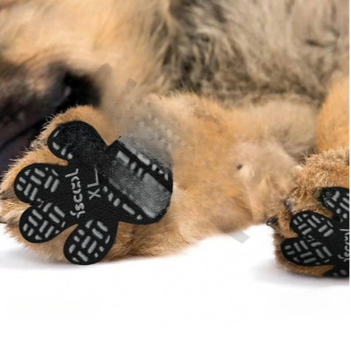 Dog standing on a smooth floor with paw grips on