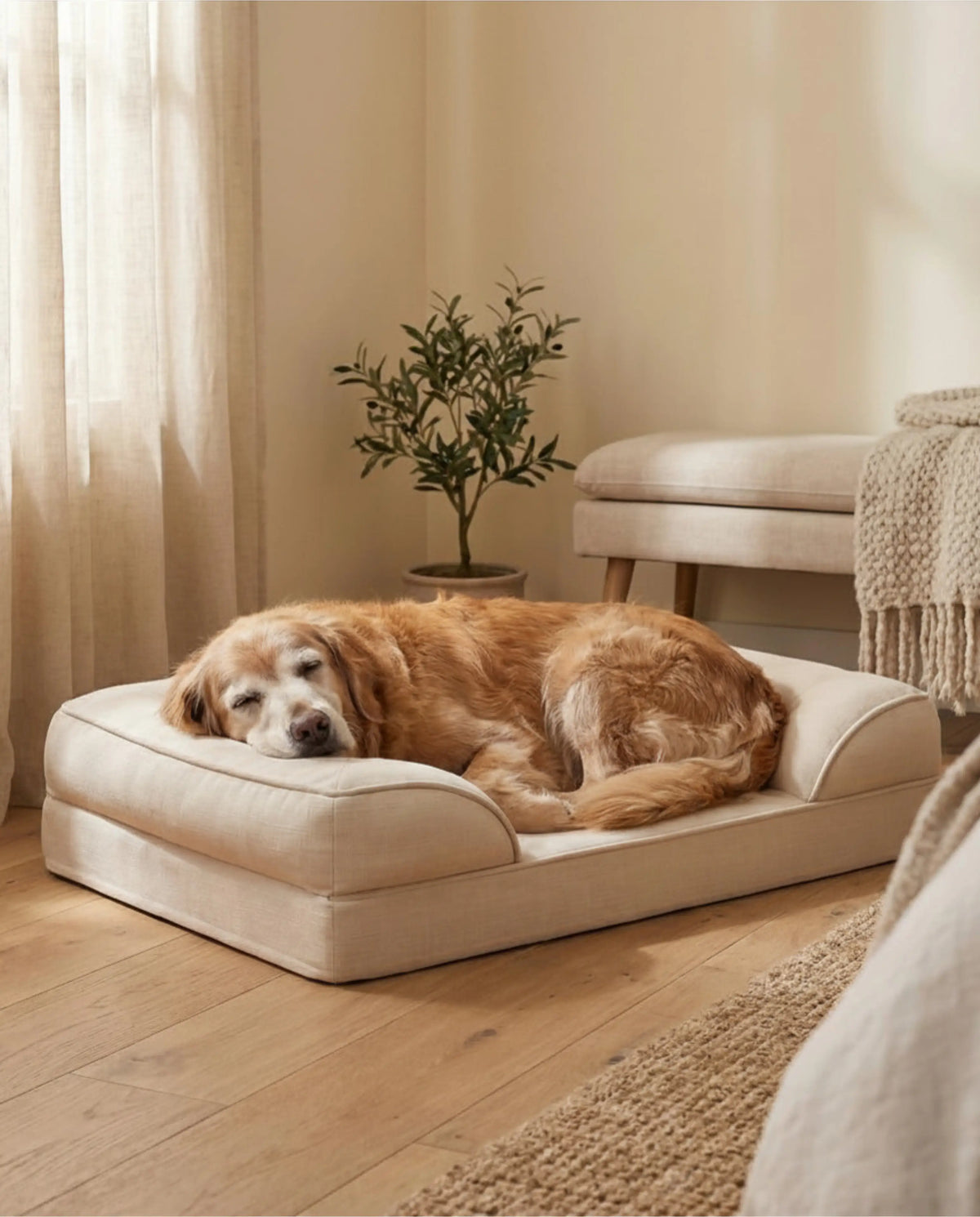 Large dog resting on the memory foam dog bed