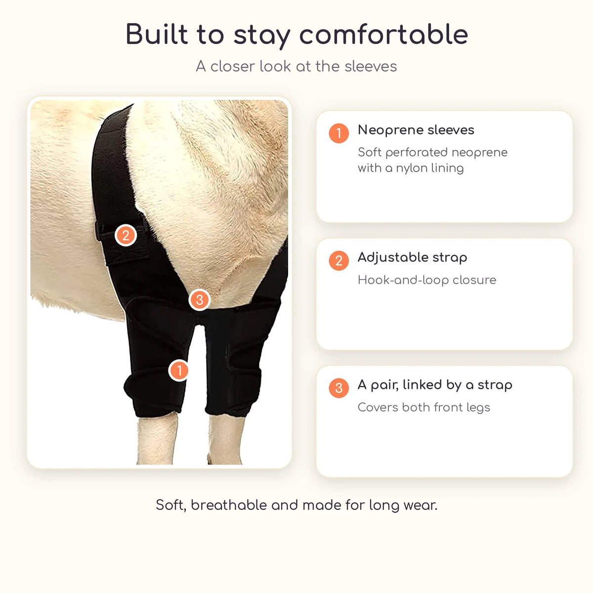 Front leg brace details: neoprene sleeves, adjustable strap and linked pair