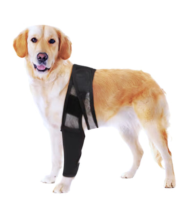 Basic Dog Knee Brace — Neoprene Compression Sleeve