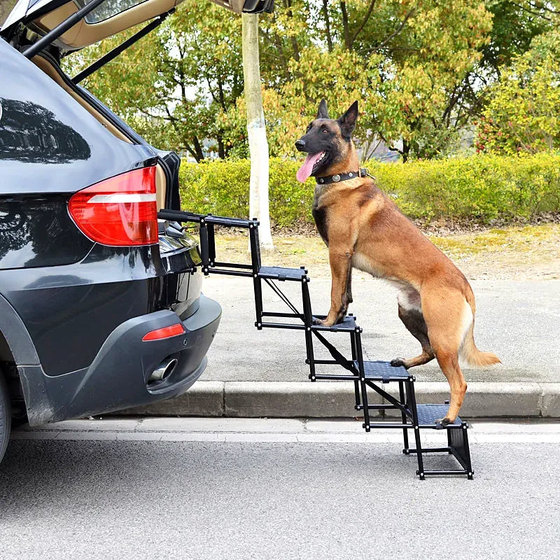 German Shepherd climbing black foldable dog car steps into the trunk of an SUV