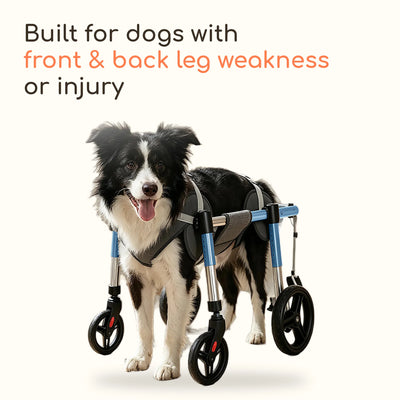 4 Wheel Dog Wheelchair for Front and Back Legs, Adjustable Aluminum Full Support Cart for Small to Large Dogs