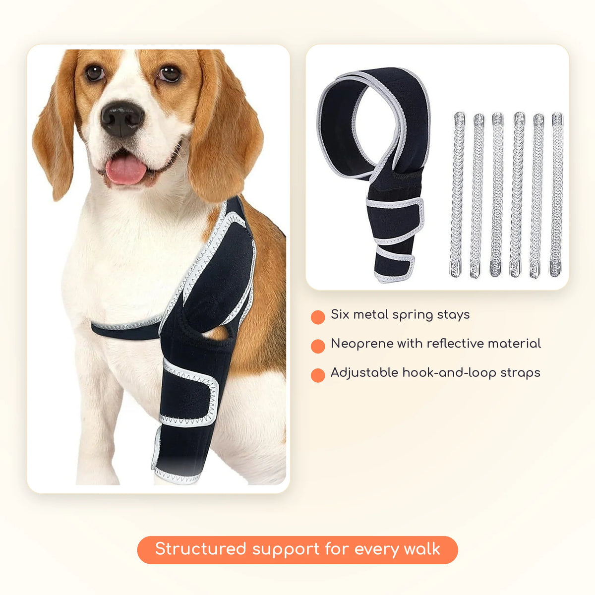 Beagle wearing the premium knee brace beside its six metal stays